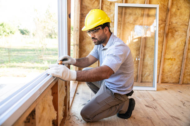 Best Insulation Removal  in Chisholm, ME