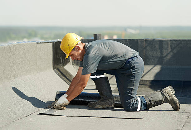 Best Attic Insulation Installation  in Chisholm, ME